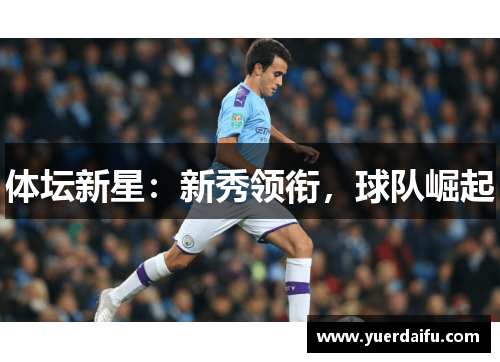 体坛新星：新秀领衔，球队崛起